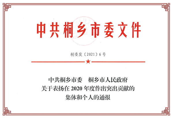 2020年度桐鄉(xiāng)市服務(wù)業(yè)優(yōu)秀企業(yè)